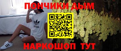 мдпв Можга