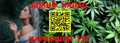 мдпв Можга