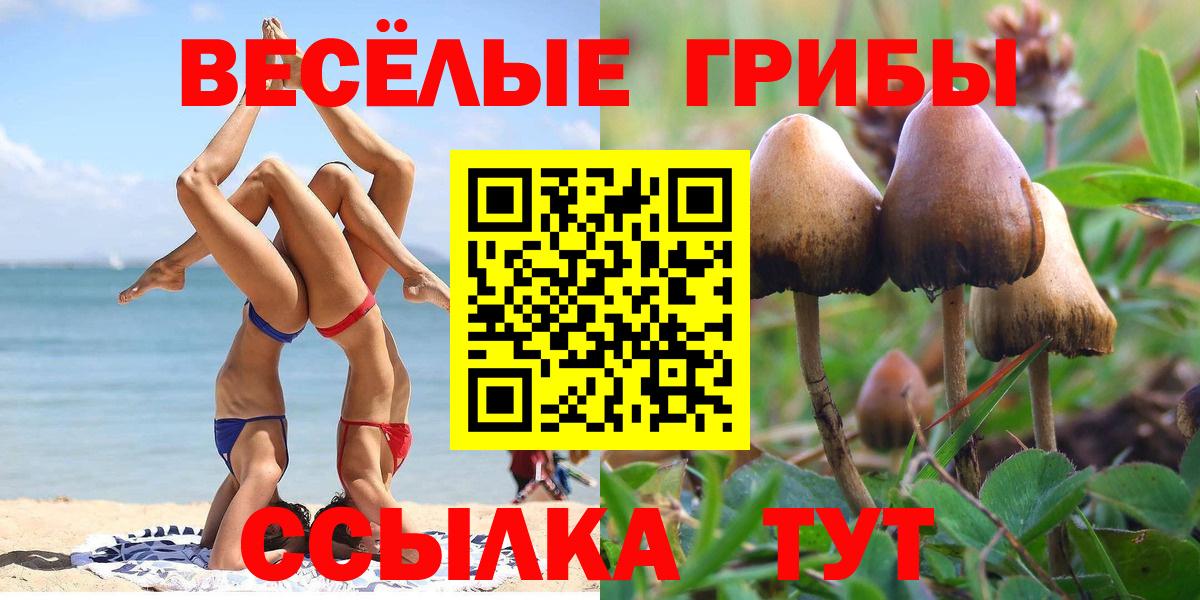 Галлюциногенные грибы прущие грибы Дятьково