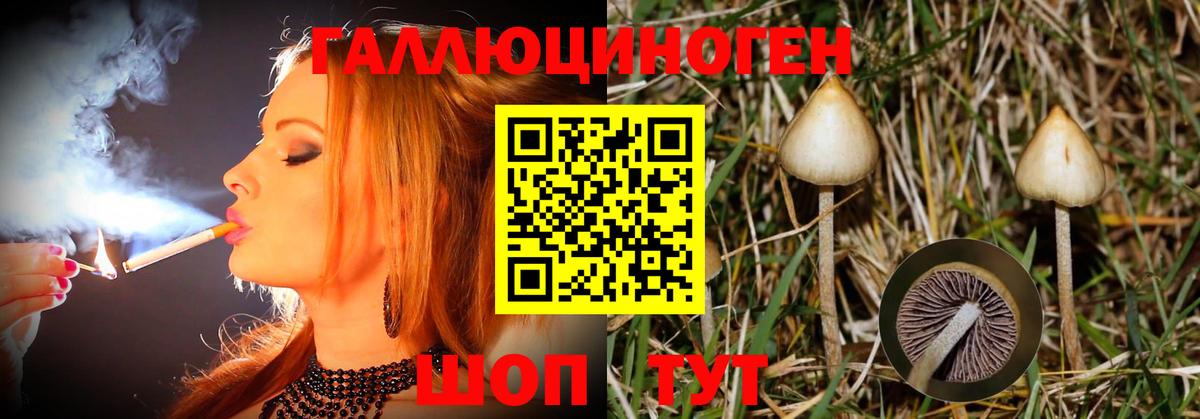 где можно купить наркотик  Вход с VPN  Дятьково  Псилоцибиновые грибы мицелий 