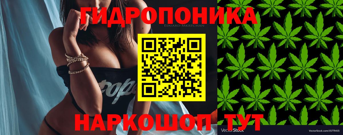 Бошки Шишки конопля Дятьково